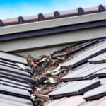 Overlooked Roof Cleaning